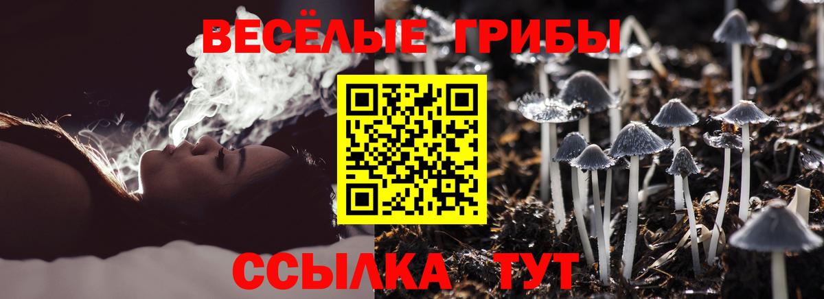 Сертолово  наркошоп  Вход с VPN  Галлюциногенные грибы Psilocybe 