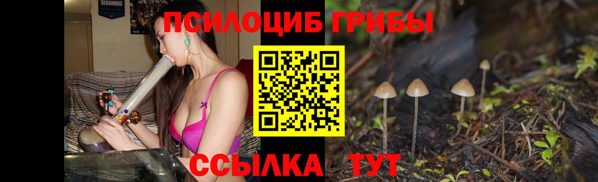 Галлюциногенные грибы MAGIC MUSHROOMS Сертолово