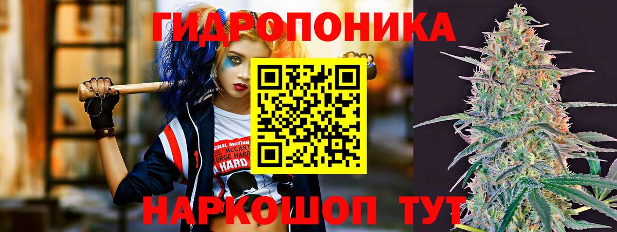 Конопля Ganja  Бошки Шишки Ganja  Вход с VPN  Сертолово 